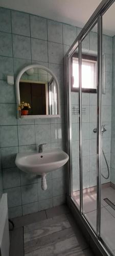 a bathroom with a sink and a glass shower at Chata Julka in Dedinky