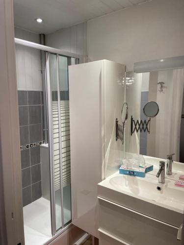 桑特的住宿－Chez Emmanuel，白色的浴室设有水槽和淋浴。