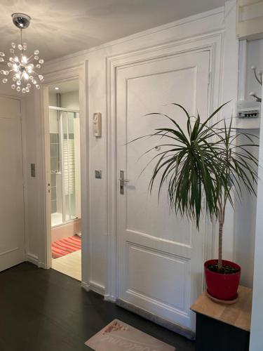 un corridoio con una porta e una pianta in vaso di Chez Emmanuel a Saintes