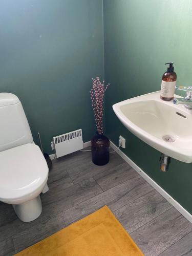 a bathroom with a toilet and a sink at Shared Farmhouse in Stavanger