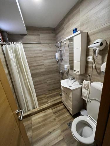 a bathroom with a toilet and a sink and a shower at Užički konak in Užice