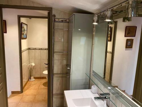 une salle de bain avec un lavabo et une douche avec un miroir dans l'établissement BANDOL-MAISON LA BIENVENUE 9MN A PIED MER-CALANQUE PORT D'ALON-GRAND JARDIN+FIBRE WIFI, à Saint-Cyr-sur-Mer