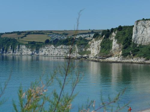 a body of water with white cliffs and a person on the shore at Fore Street House - Apartment 3 in Seaton