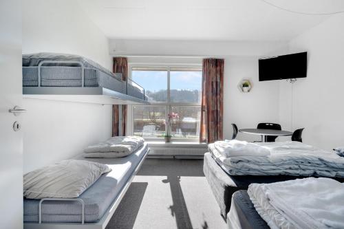 Camera con 2 Letti, tavolo e TV di Danhostel Vejle a Vejle