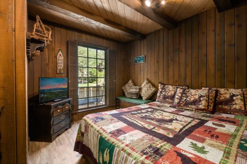um quarto com uma cama e uma televisão em Alpine Lakefront - Lakefront cabin and all the amenities really fun from the pool table and spa em Big Bear Lake