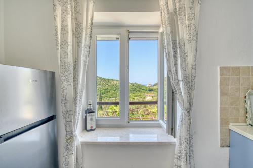 ブルヤリッツァにあるEva's country houseの窓と冷蔵庫付きのキッチンが備わります。