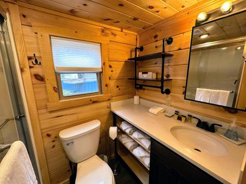 a bathroom with a toilet and a sink and a mirror at BMV8 Tiny Home village near Bretton Woods in Twin Mountain