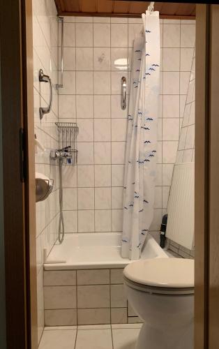 a bathroom with a shower and a toilet at Küstenmotorschiff Aventura in Bremen