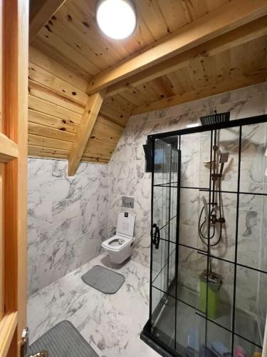 a bathroom with a toilet in a room at Günışığı Bungalov in Rize