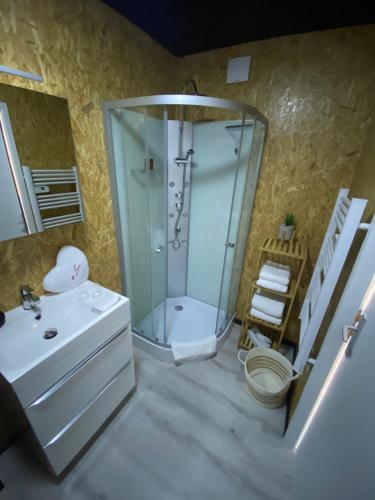 ein Bad mit einer Dusche, einem Waschbecken und einem WC in der Unterkunft Mini Love Room jacuzzi privatif in Uriménil