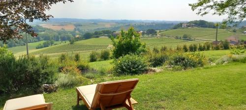a wooden chair sitting on a field of green grass at Villa Pieve in Moncalvo