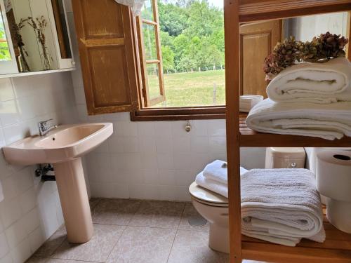 a bathroom with a sink and a toilet and a window at Casa de los Valles en RioNansa in Puentenansa
