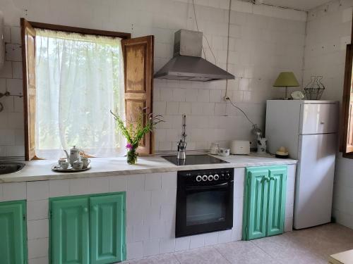 a kitchen with green cabinets and a white refrigerator at Casa de los Valles en RioNansa in Puentenansa