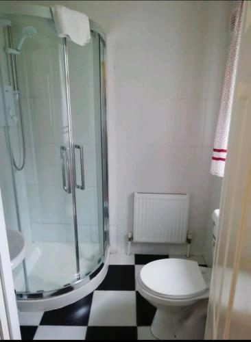 e bagno con doccia, servizi igienici e lavandino. di John Street Guest House a Kilkenny