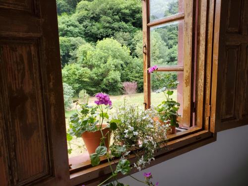 a window with a bunch of flowers on a window sill at Casa de los Valles en RioNansa in Puentenansa