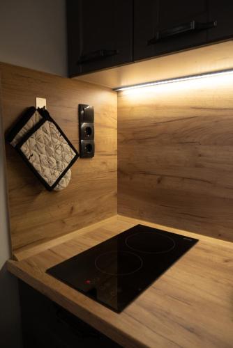a room with a wooden wall with a black rug at Apartman Aleni - Bela Reka, Brzeće in Brzeće