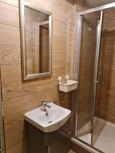 een badkamer met een wastafel en een douche bij SOFT PILLOW in North Woolwich