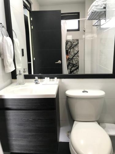 a bathroom with a toilet and a sink and a mirror at Hotel Mirador de la Esperanza in San Juan de Rioseco 