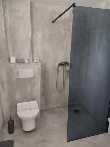 a bathroom with a shower and a toilet at Golden Star Praxitelous in Agia Marina Aegina