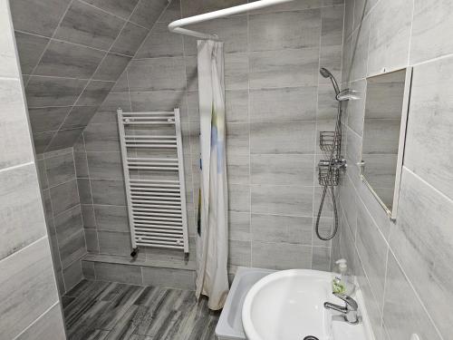 La salle de bains est pourvue d'un lavabo et d'une douche. dans l'établissement Végvári Hotel Eger, à Eger
