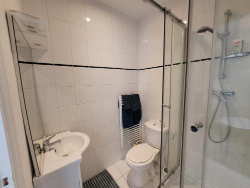 uma casa de banho com um chuveiro, um WC e um lavatório. em Appartement spacieux 28m2 avec chambre séparée em Issy-les-Moulineaux