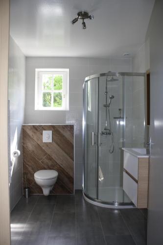 une salle de bain avec douche et toilettes dans l'établissement Location Eyheraldia - votre T3 au cœur du Pays Basque, à Hasparren