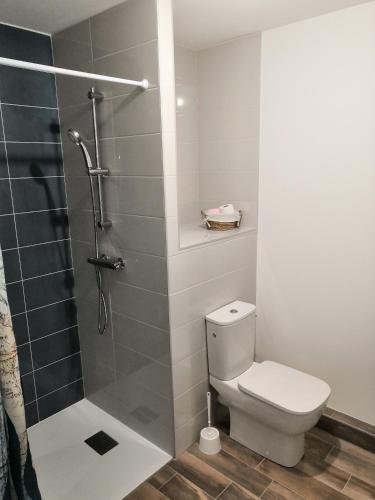 une salle de bain avec toilettes et douche dans l'établissement Appartement neuf 40 m² 300 m de la mer, à Saint-Jean-de-Monts