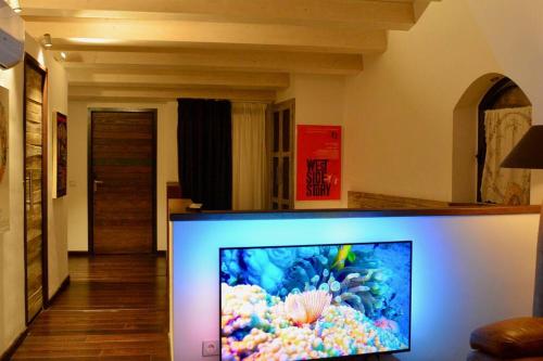 TV de pantalla plana en la sala de estar. en Can Senio 3, en Tossa de Mar