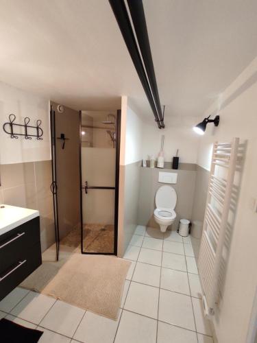 een badkamer met een douche en een toilet. bij Aux Berges du Mont in Pontorson