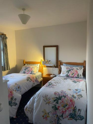 a bedroom with two beds and a mirror at Cooper Hill in Carlow