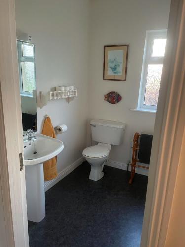 a bathroom with a white toilet and a sink at Cooper Hill in Carlow