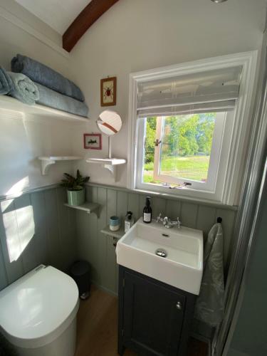 a bathroom with a toilet and a sink and a window at Coachroad Shepherds Huts in Petworth