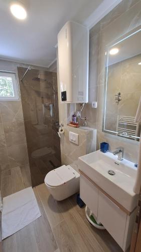 a bathroom with a toilet and a sink and a shower at Vila Jahor Apartmani JET SET Lux 4,5,6 in Jahorina
