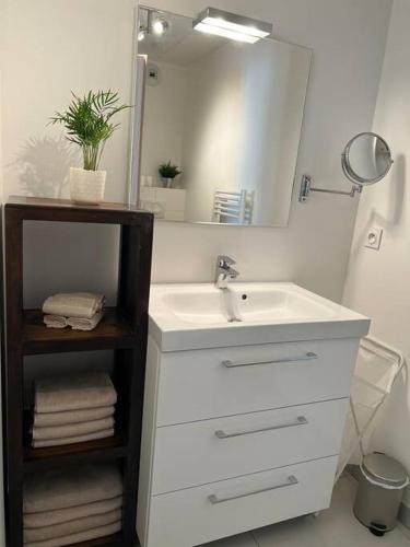 een witte badkamer met een wastafel en een spiegel bij Très joli 2 pièces calme ensoleillé avec piscine in Nice