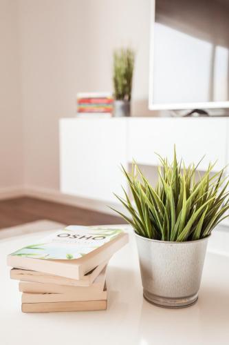 a stack of books and a potted plant on a counter at Pilgrim Home in Fátima