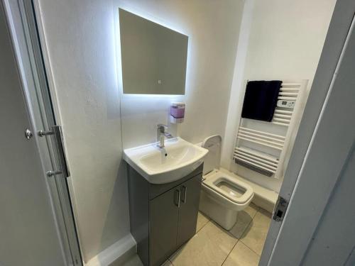 a bathroom with a sink and a toilet at Chic 2 Bedroom Flat in Trimley Heath