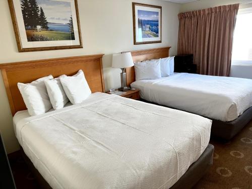 オーシャンシティにあるSafari Hotel Boardwalkのベッド2台と窓が備わるホテルルームです。
