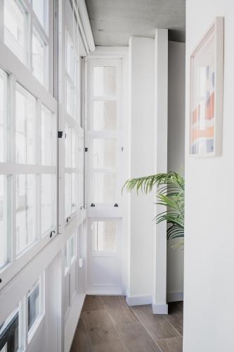 a hallway with a door and a potted plant at Alojamientos Miss Tic Ciudad Vieja Coruña in A Coruña