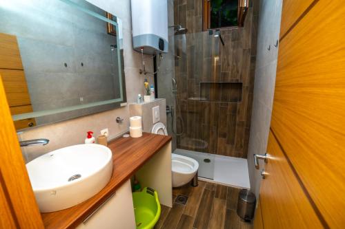 y baño con lavabo, ducha y aseo. en Apartman Roccia, en Trebinje