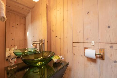 大熊湖的住宿－Bear Pause -Walk to lake and Alpine Slides! Beautiful knotty pine interior!，浴室的柜台上设有两个绿色碗