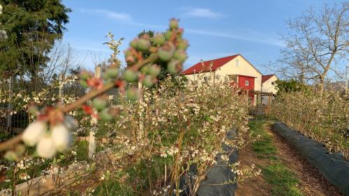 Zahrada ubytování Quinta Vale Salgueiro