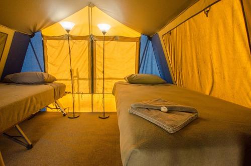 a room with two beds in a tent at Mycow Accommodation Mackay in Mackay
