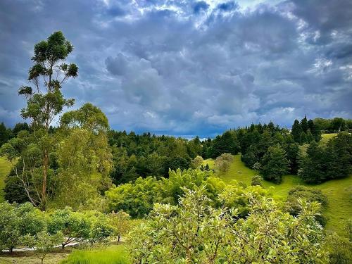 a lush green field with trees and a cloudy sky at Örök Hotel in Rionegro