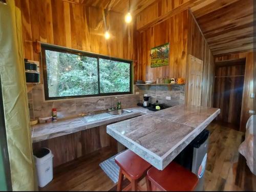 cocina con encimera, fregadero y ventana en Jungle Living Tree Houses, en Monteverde