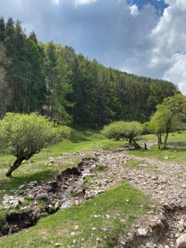 a river in a field with trees in the background at Tazabek guest house in Kegeti