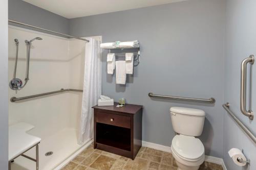 a bathroom with a toilet and a shower and a sink at The Riverstone Inn in Towanda