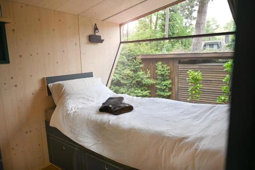 Cama en habitación con ventana grande en Sleep Space - Green Tiny Spot Steinhuder Meer en Neustadt am Rübenberge