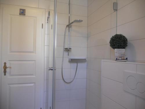 a bathroom with a shower with a glass door at Feldstraße 15b, Whg 9, "Friesenperle 9" in Wyk auf Föhr