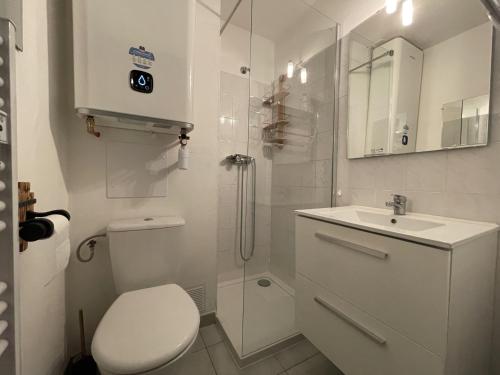 une salle de bain avec toilettes, douche et lavabo dans l'établissement 2 pièces mezzanine, parking privé, animaux admis - FR-1-338-475, à Sète