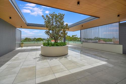 a large courtyard with a tree in a pot on a building at One16 Tudor in Hamilton